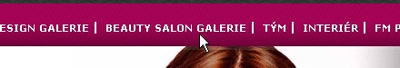 Navigation Menus - Michal Zapoměl - český vlasový design | czech hair design - Úvodní stránka
