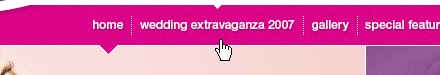 Navigation Menus - Wedding Extravaganza 2007 - A Perfect Marriage
