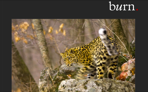 Beautiful Photography Website