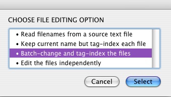 Rename Files screenshot on third level script options