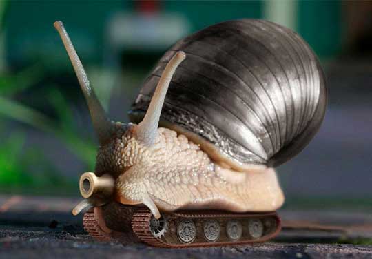 battle snail