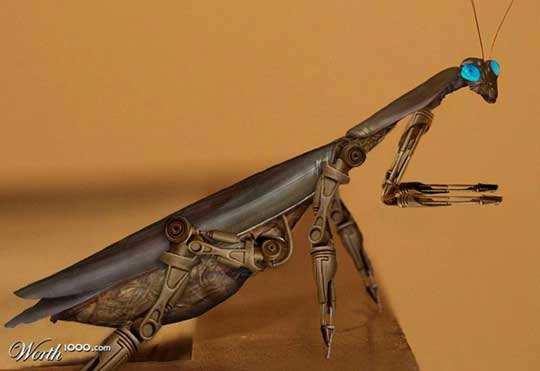 cybermantis