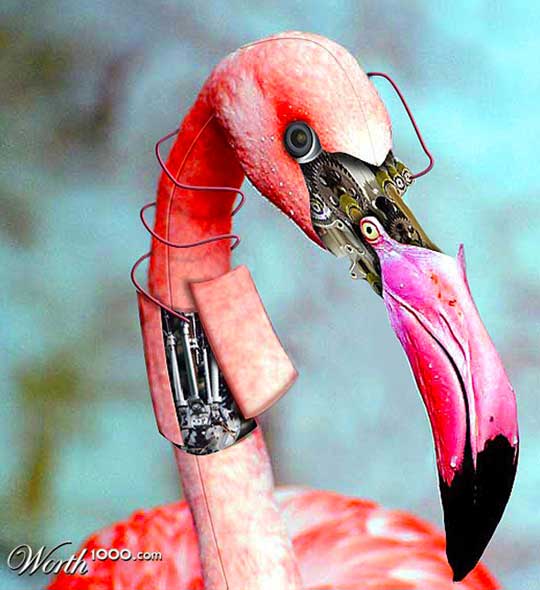 flamingrobot