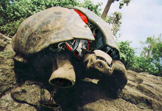robo-turtle