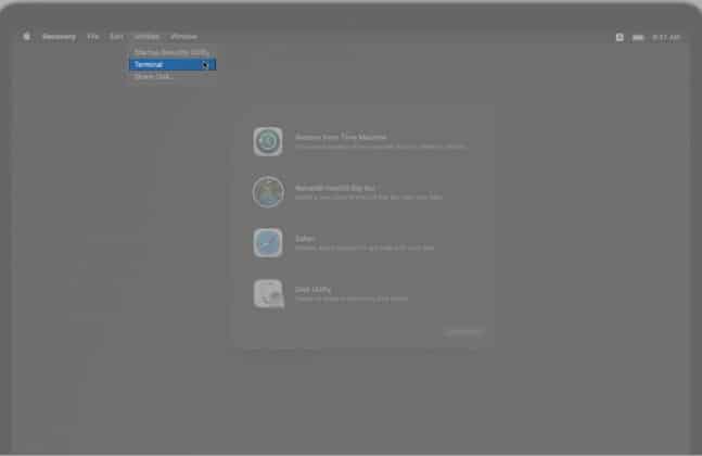 select Terminal from the Menu Bar on Mac