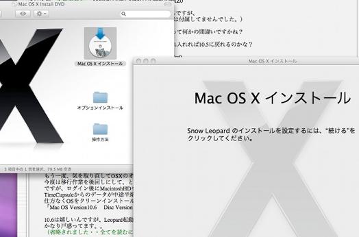 Snow Leopard