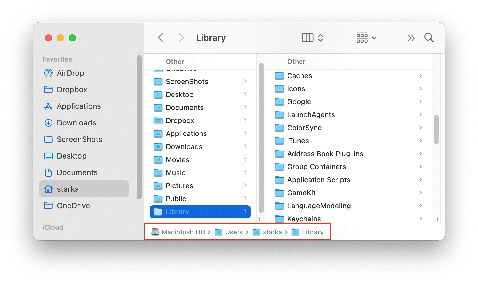 System files from Other category Library folder showing folders with system service files