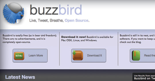 BuzzBird