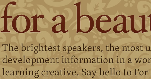 typekit for a beautiful web