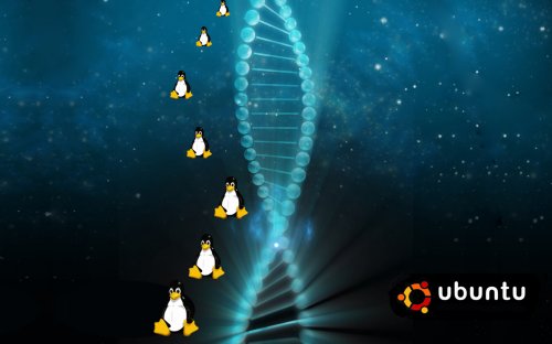 dna_ubuntu