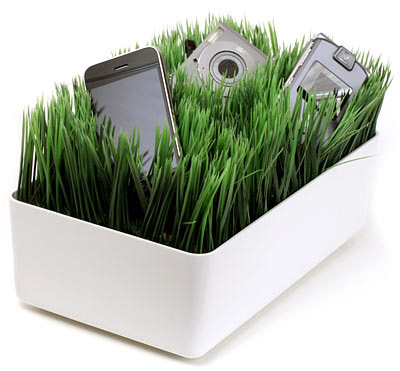 Grassy Lawn Charging Station