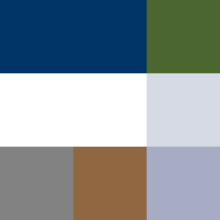 web color