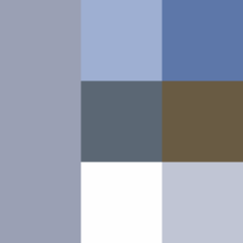 web color