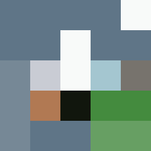 web color