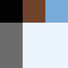 web color