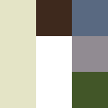 web color